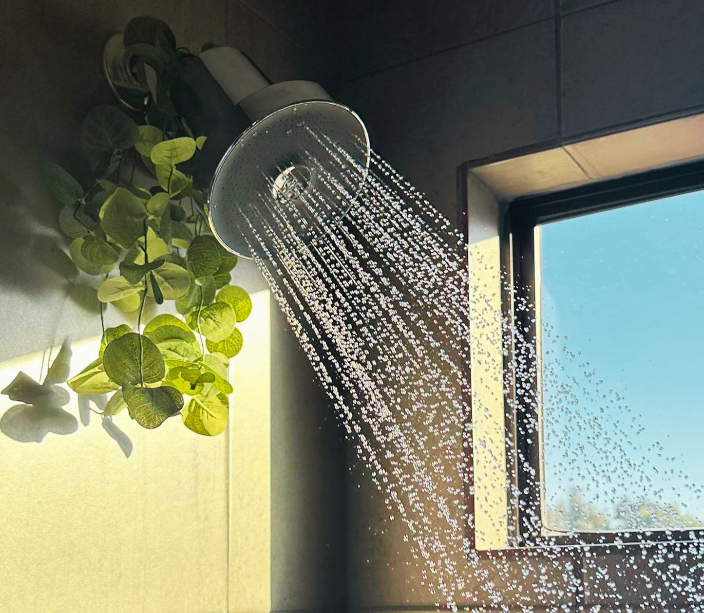 AuraFlow™ Filtro de Ducha Purificador