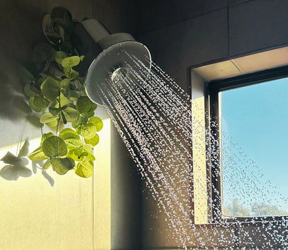 AuraFlow™ Filtro de Ducha Purificador